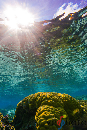 Reactive Reefs Preliminary Gallery-35
