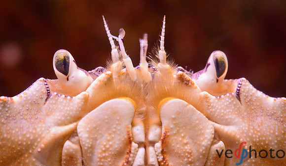 Reactive Reefs Preliminary Gallery-43