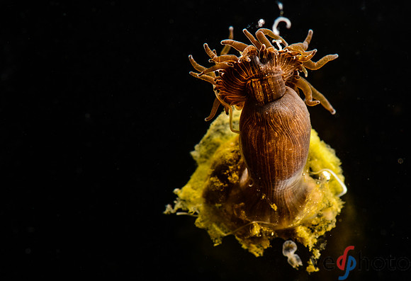 Reactive Reefs Preliminary Gallery-44