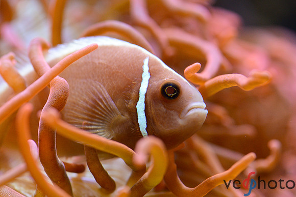 Reactive Reefs Preliminary Gallery-41