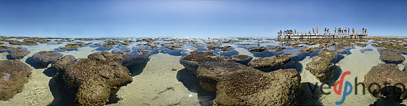 Stromatolites in Shark Bay, Flagpole Landing. Equirectangular projection of HDR panorama