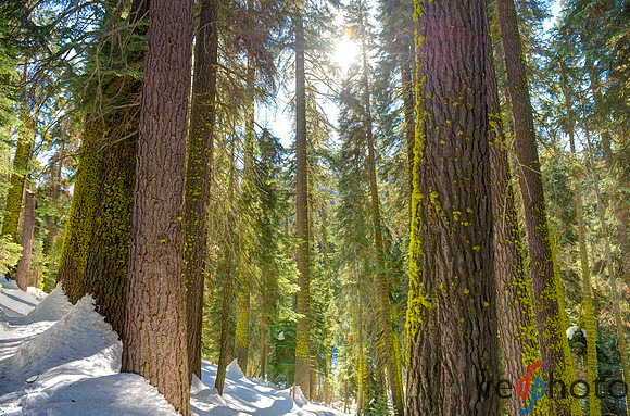Alta Peak-12