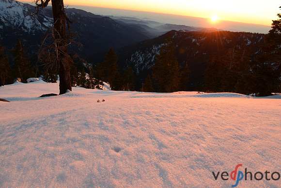 Alta Peak-50