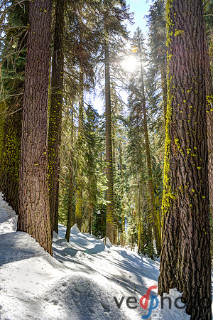 Alta Peak-7
