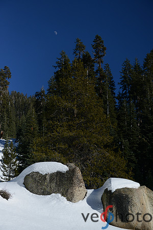 Alta Peak-9