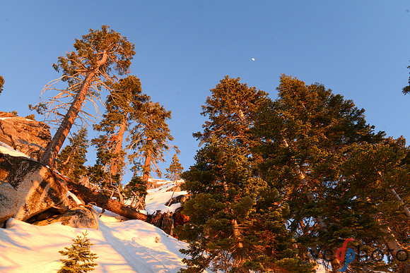 Alta Peak-47