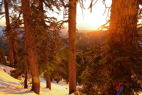 Alta Peak-11