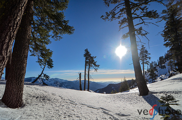 Alta Peak-36