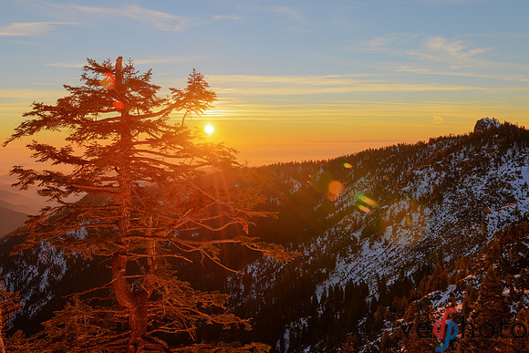 Alta Peak-5