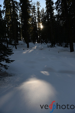 Alta Peak-44