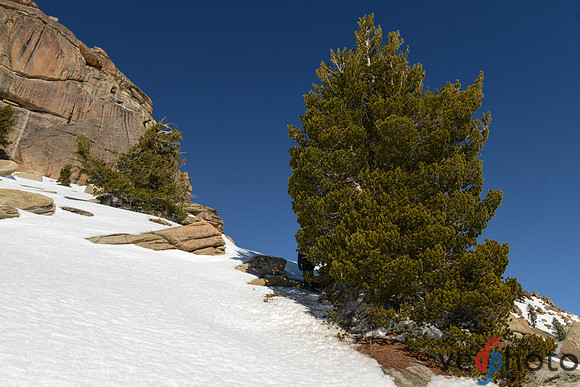 Alta Peak-56