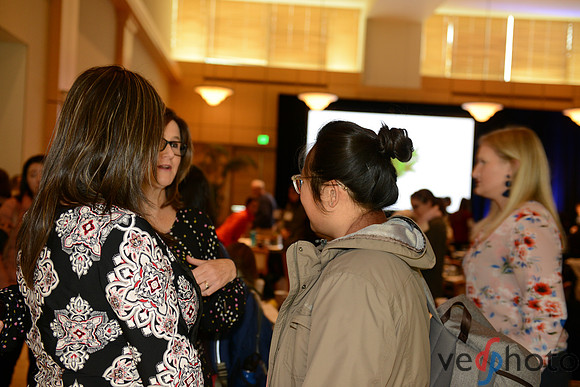 WiDS 2019 by Ved Chirayath-506