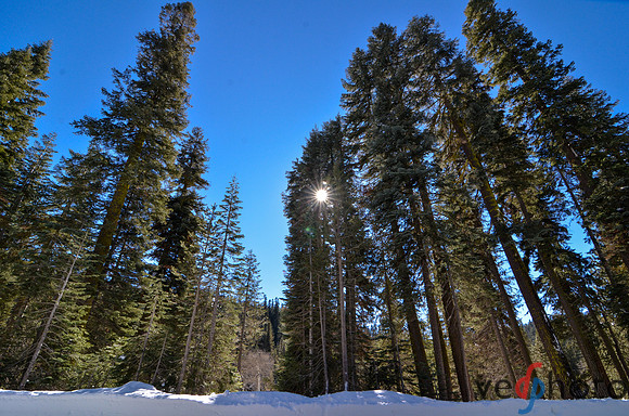 Alta Peak-29