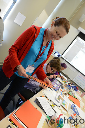 CSET SSTI 2012 (300 of 1430)