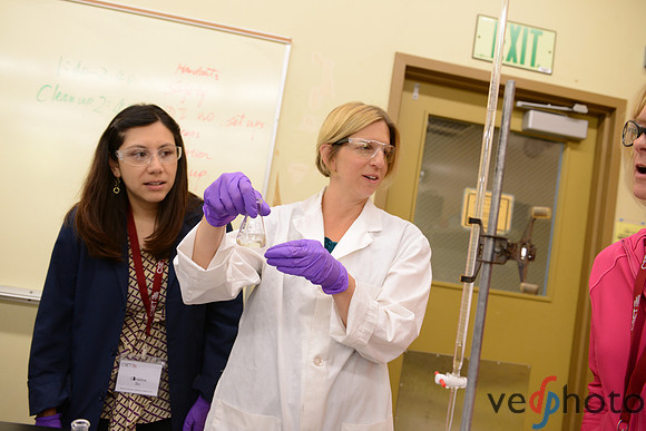 CSET SSTI 2012 (445 of 1430)