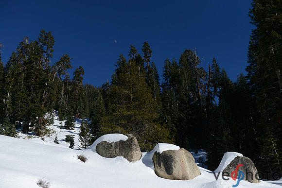Alta Peak-25