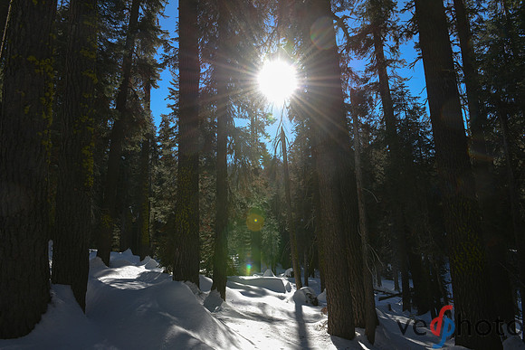 Alta Peak-34